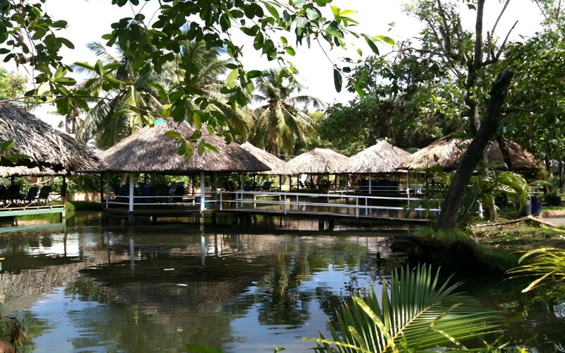 Thu Nga - Câu Cá Thanh Đa