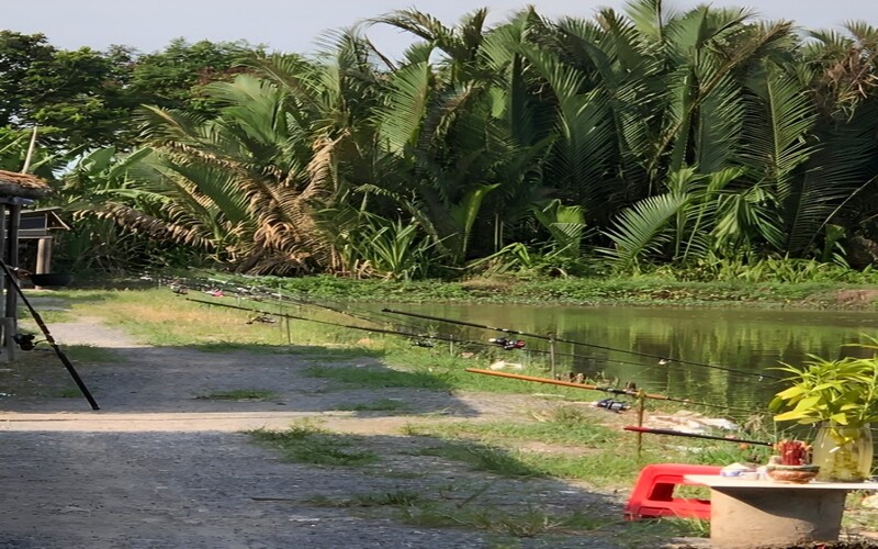 Hồ Câu Cá Út Mập