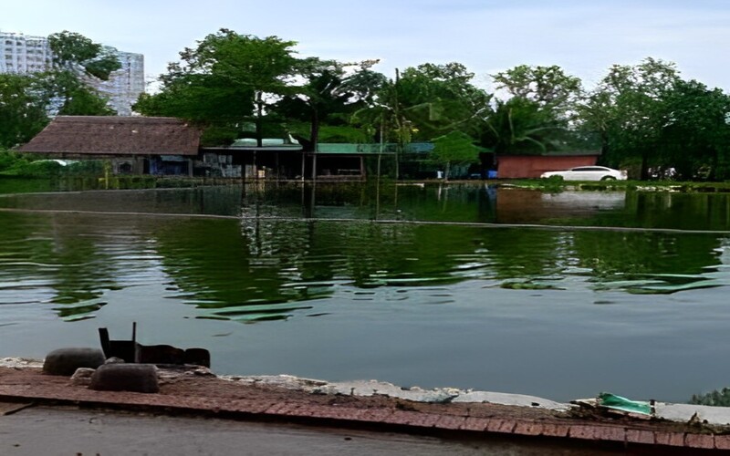 Hồ Câu Cá Giải Trí Cây Sung